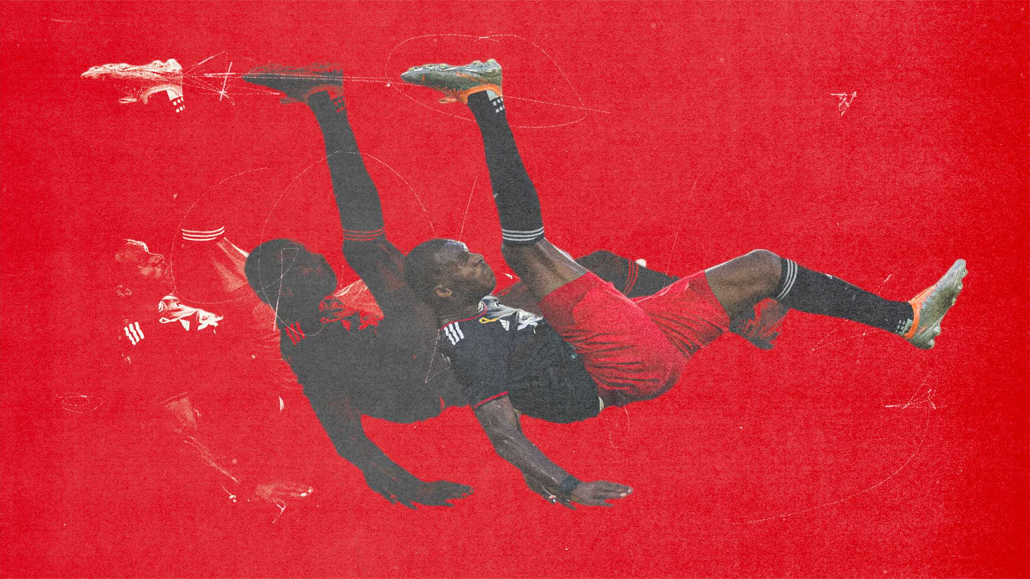 迷的关注 迷的关注