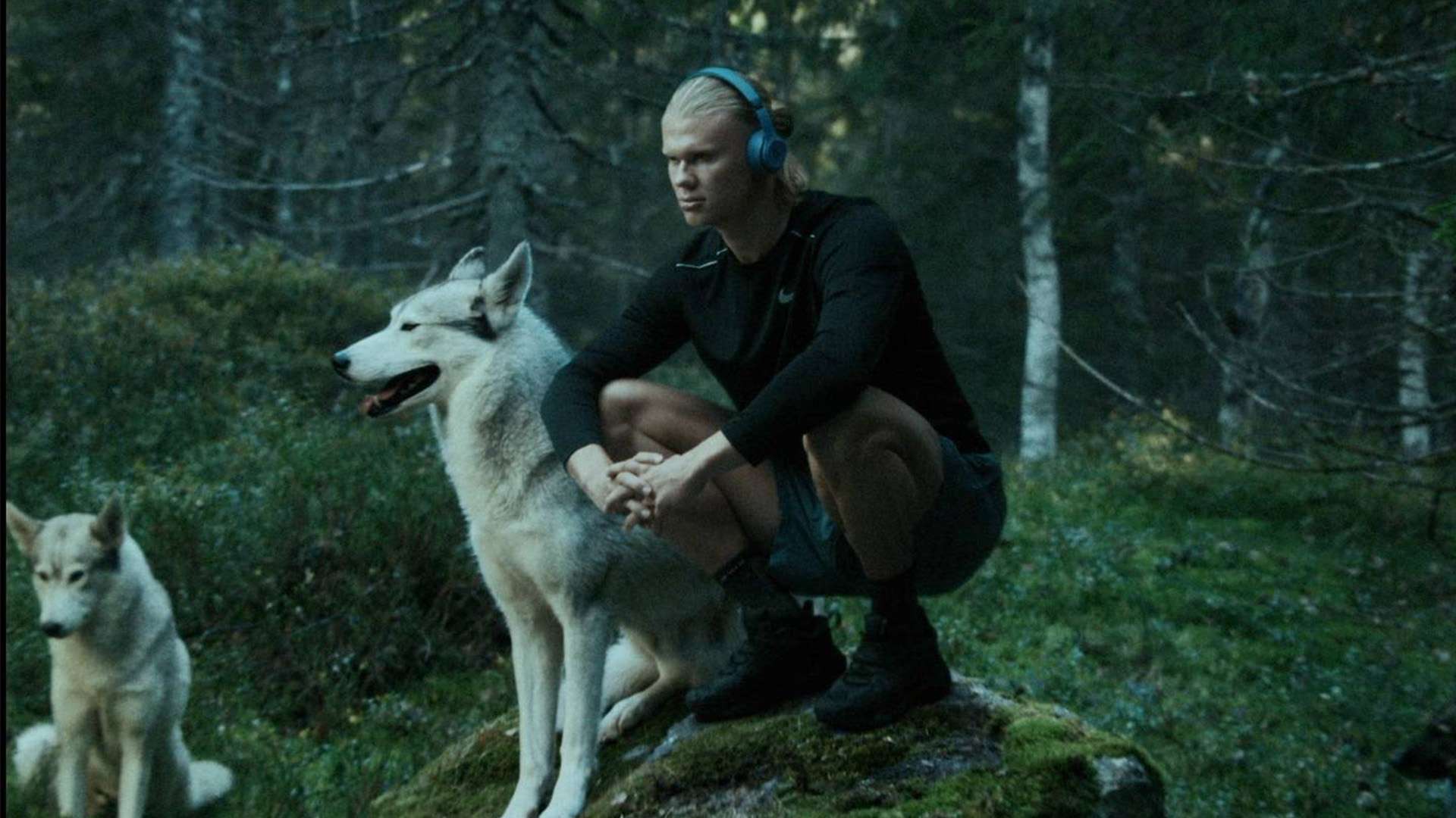 排名与成就 排名与成就